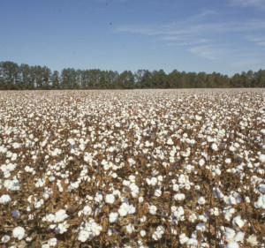Cover photo for 65th Annual Crop Protection School