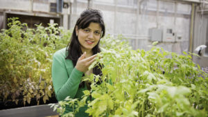 Cover photo for Great Article Featuring Horticultural Science Graduate Pragya Adhikari