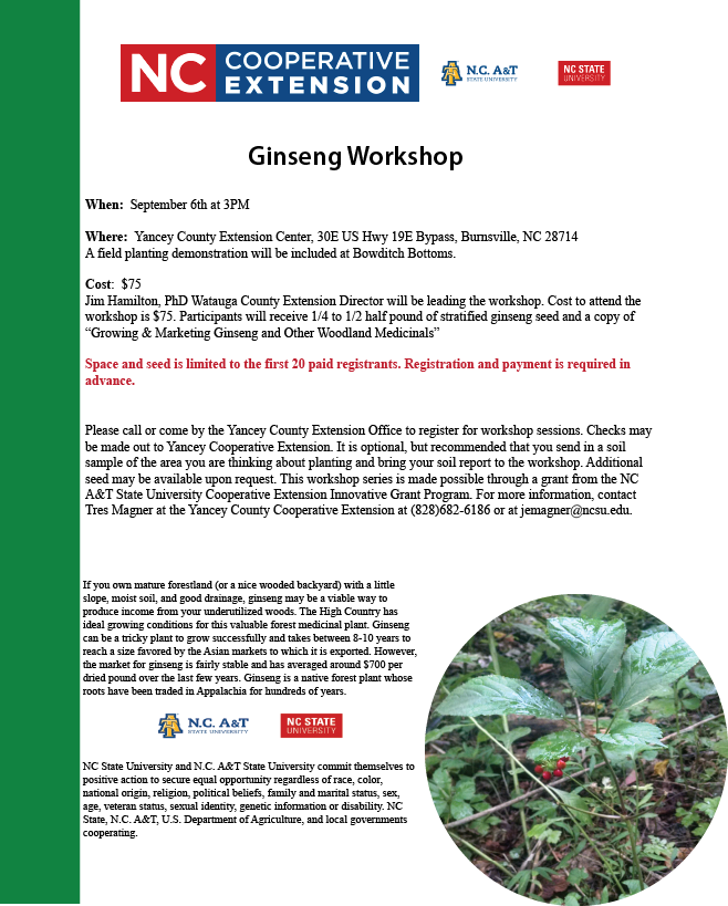 Ginseng Workshop flyer image