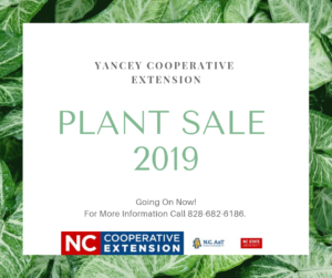 Cover photo for Plant Sale 2019