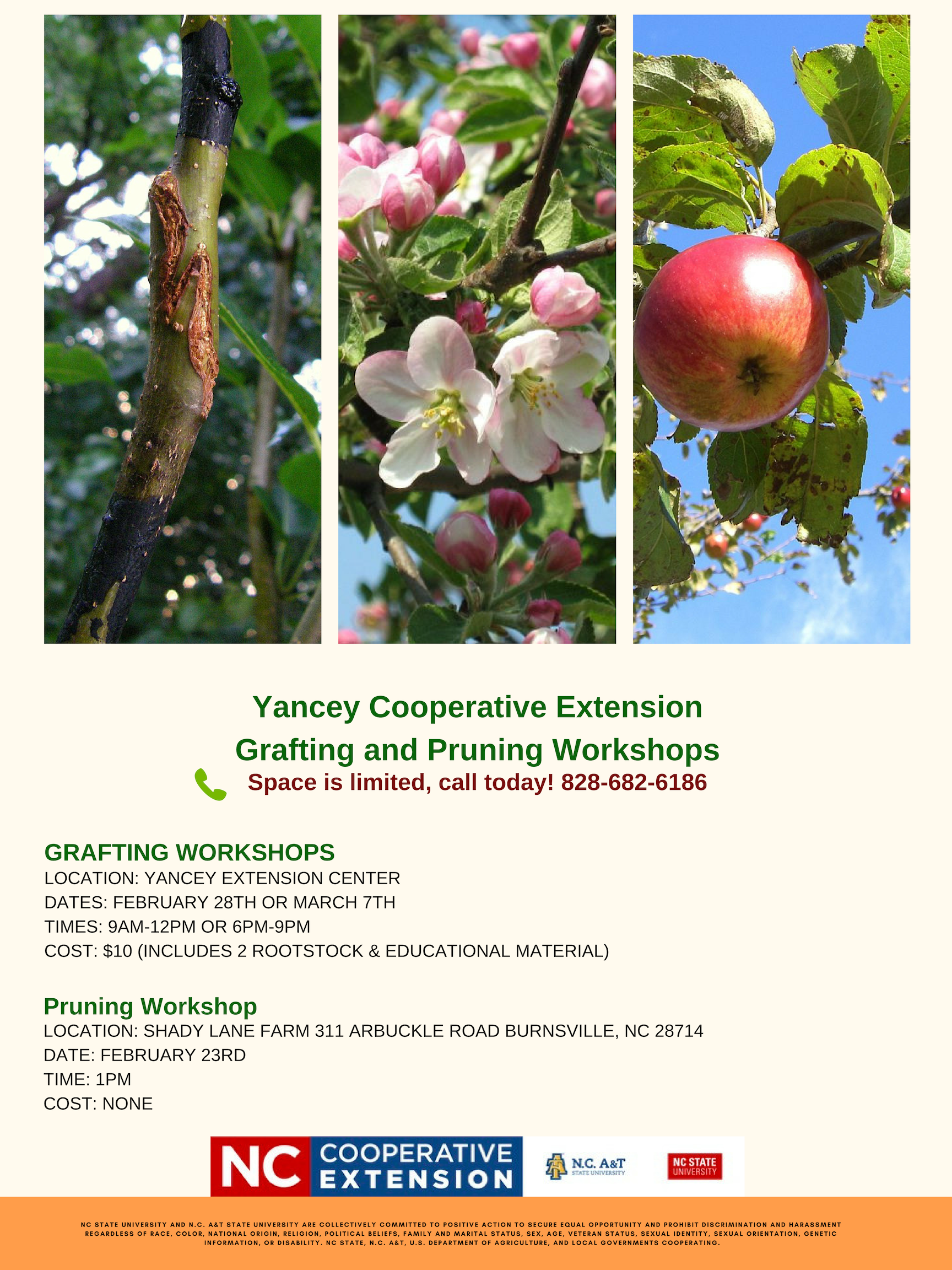 Class flyer image