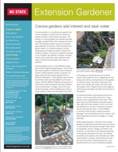 Cover photo for 2020 Winter Extension Gardener Newsletter