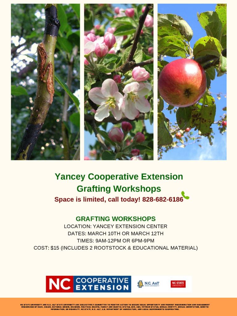 Grafting Flyer