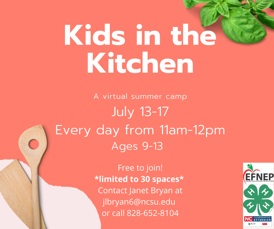 Kids in the Kitchen Flyer