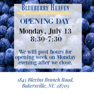 blueberry heaven