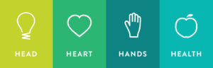 Picture showing icons for each of the H's- Head, Heart, Hands Health