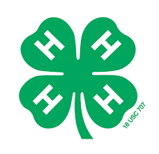 Clover