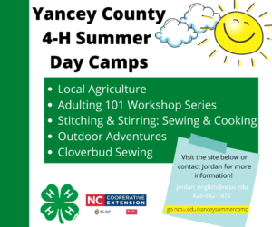 summer camp