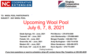 Cover photo for 2021 Wool Pool