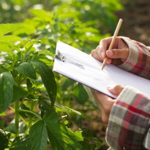 Image of a person holding a clipboard in a field, recording scouting data.