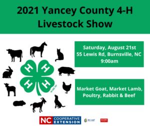 livestock show