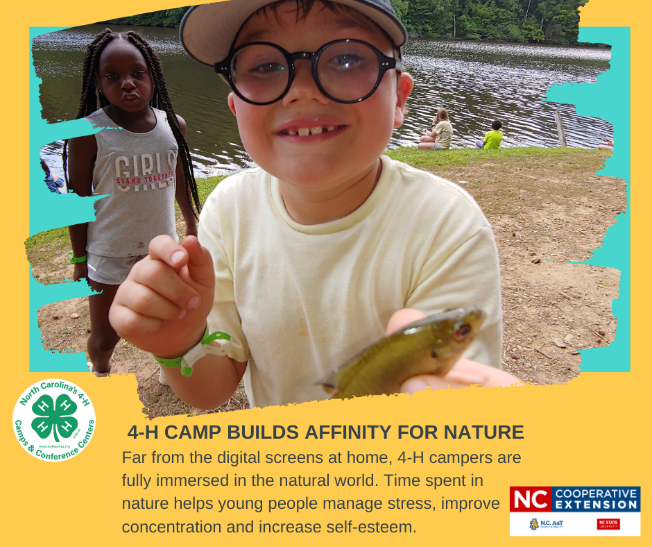 4-H camp builds affinity for nature
