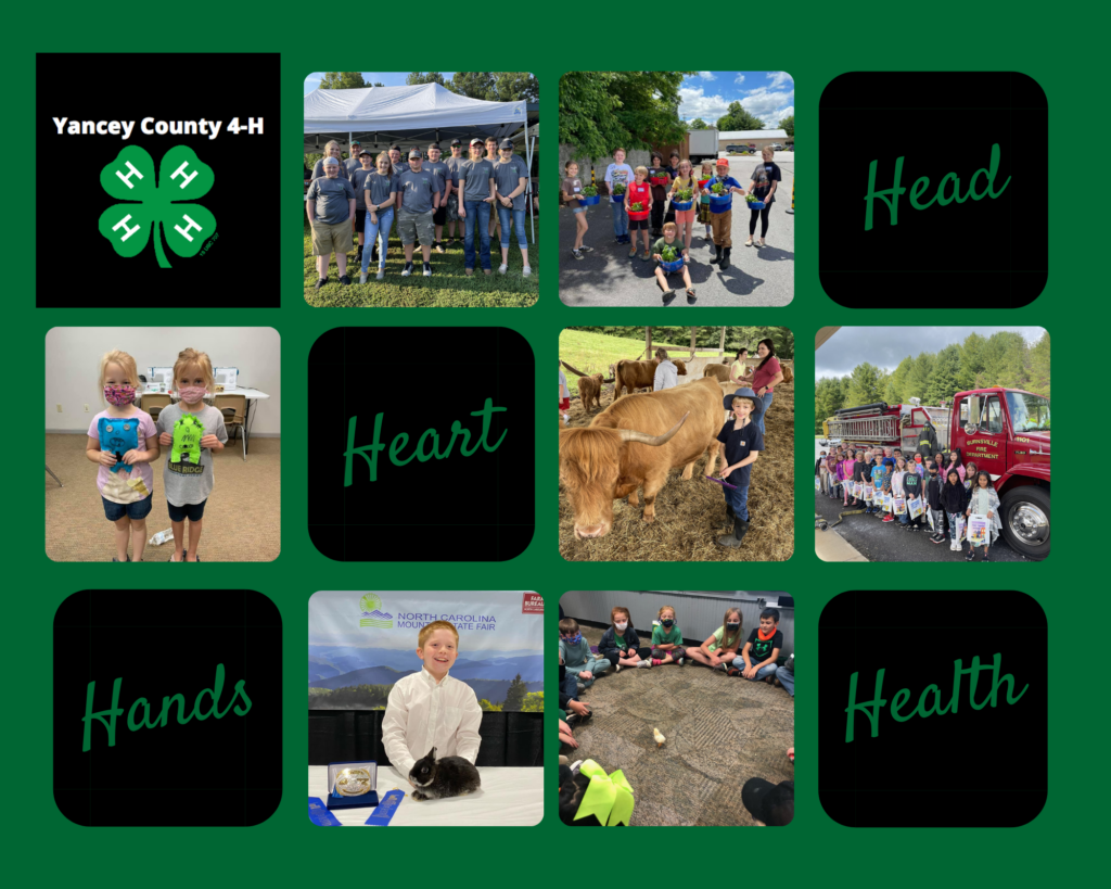 The Yancey Clover A 2021 Year in Review N.C. Cooperative Extension