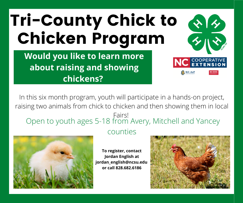 Tri County Chick to Chicken Program flyer