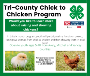 Cover photo for Tri-County Chick to Chicken Program