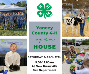 Cover photo for 2022 Yancey County 4-H Open House
