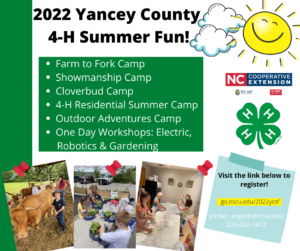 Cover photo for Yancey County 4-H 2022 Summer Fun!