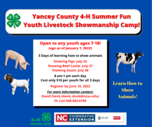 Cover photo for Yancey County 4-H Youth Livestock Showmanship Day Camp July 26-28, 2022