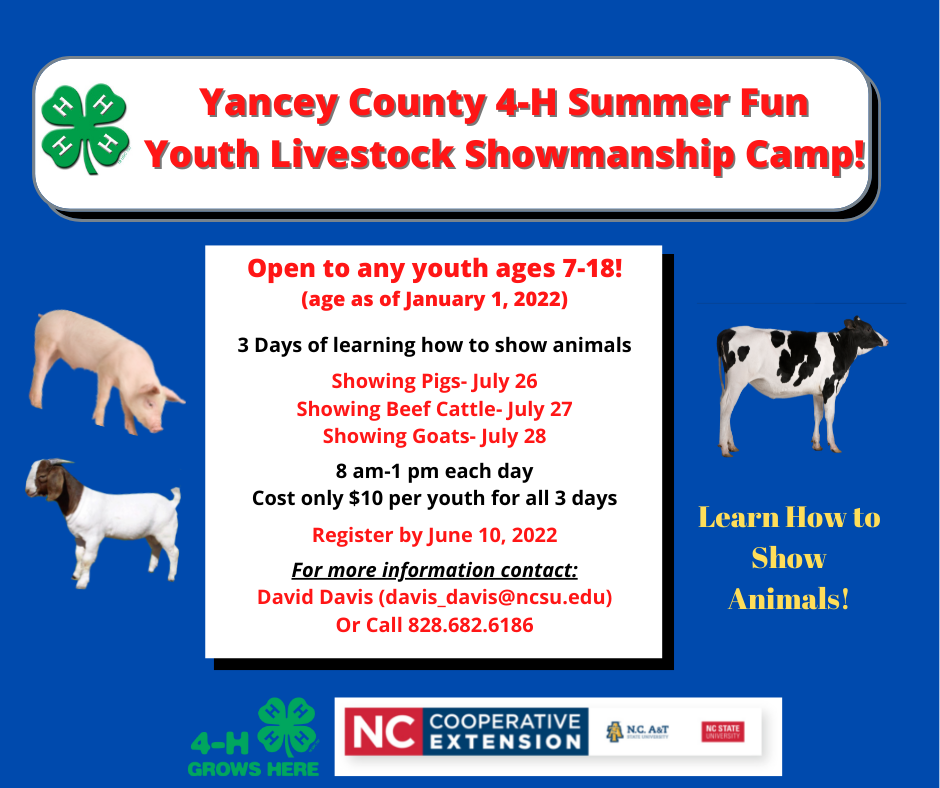 Yancey County 4-H Youth Livestock Summer Fun Showmanship Camp will take place July 26-28, 2022