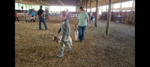 Kids showing goats