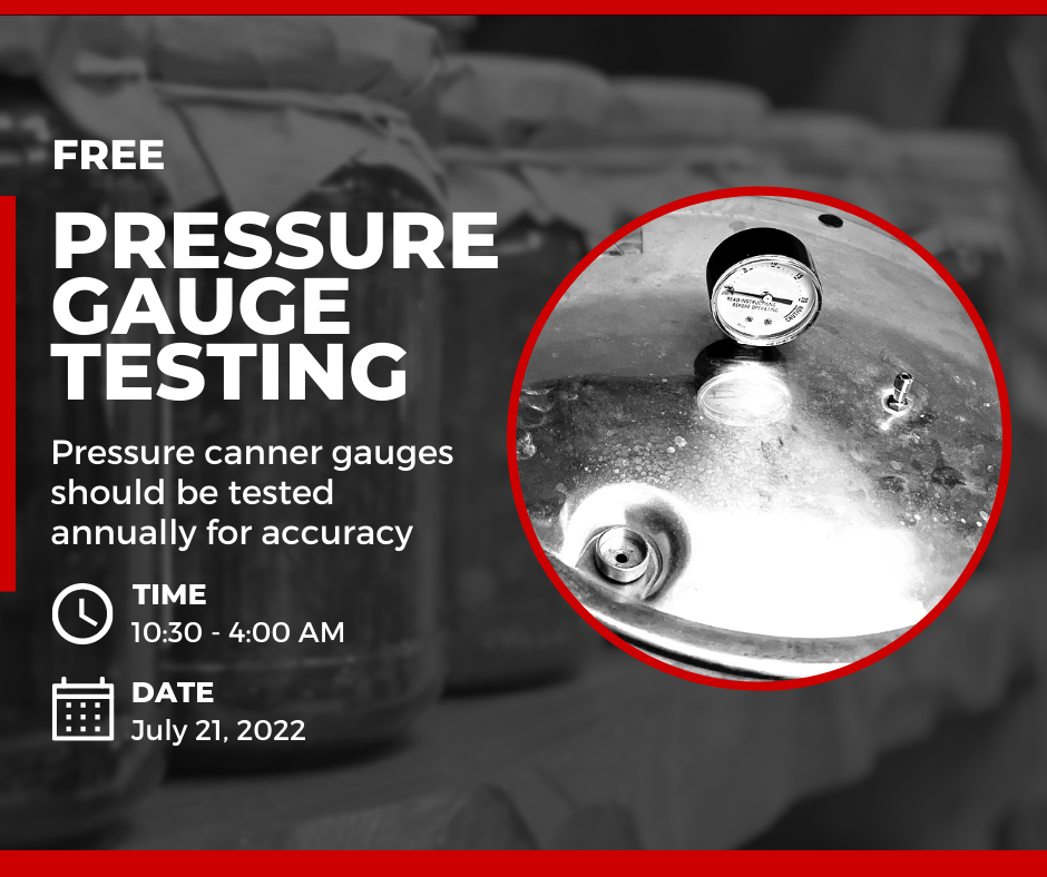 pressure canner gauge test image