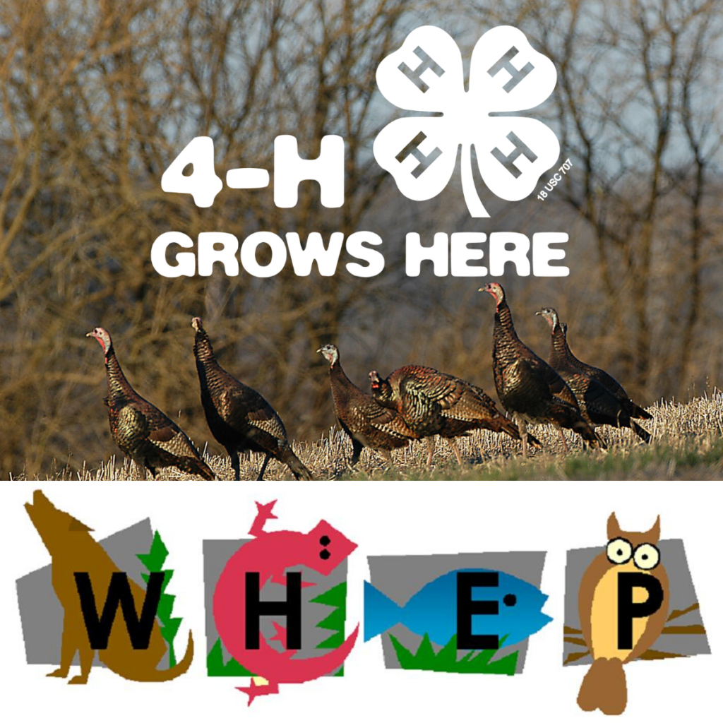4-H Grows Here.