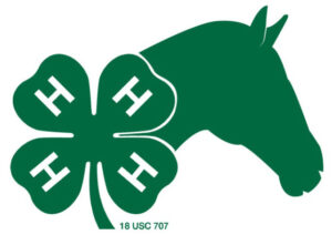 Cover photo for New 4-H Horse Club!