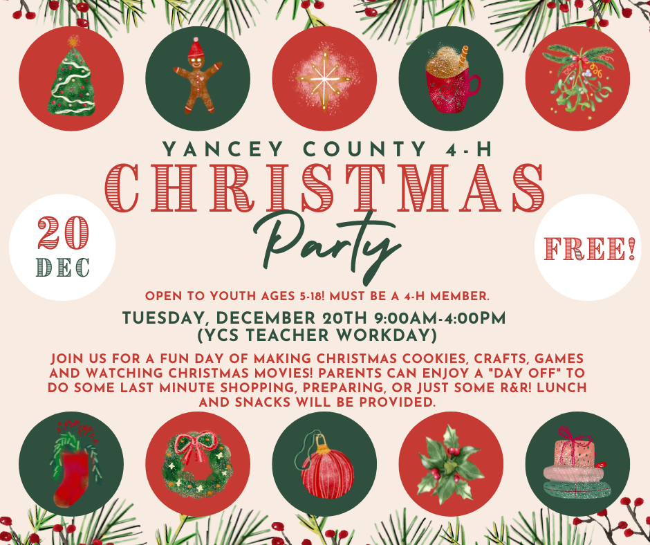 Yancey County 4-H Christmas party