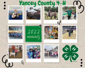 Cover photo for The Yancey Clover: A 2022 Year in Review