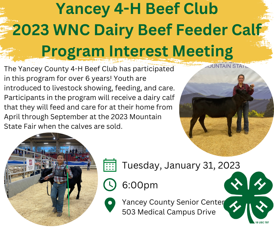 Yancey 4-H beef Club