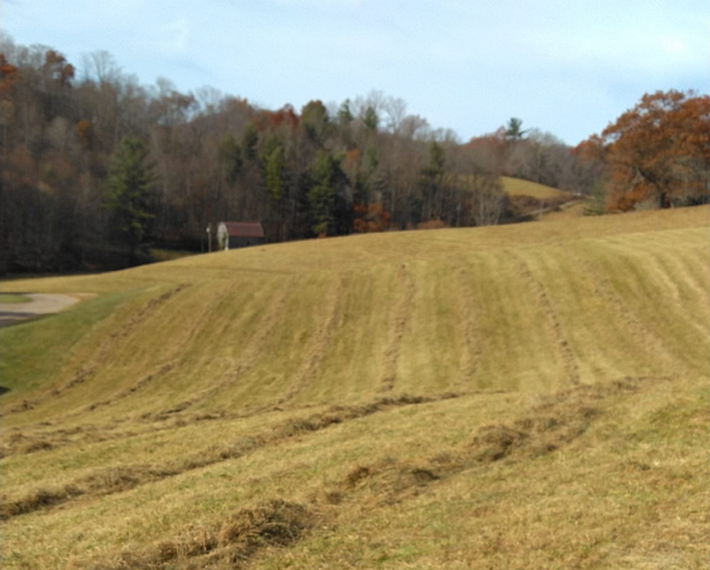 Mowed Hay field
