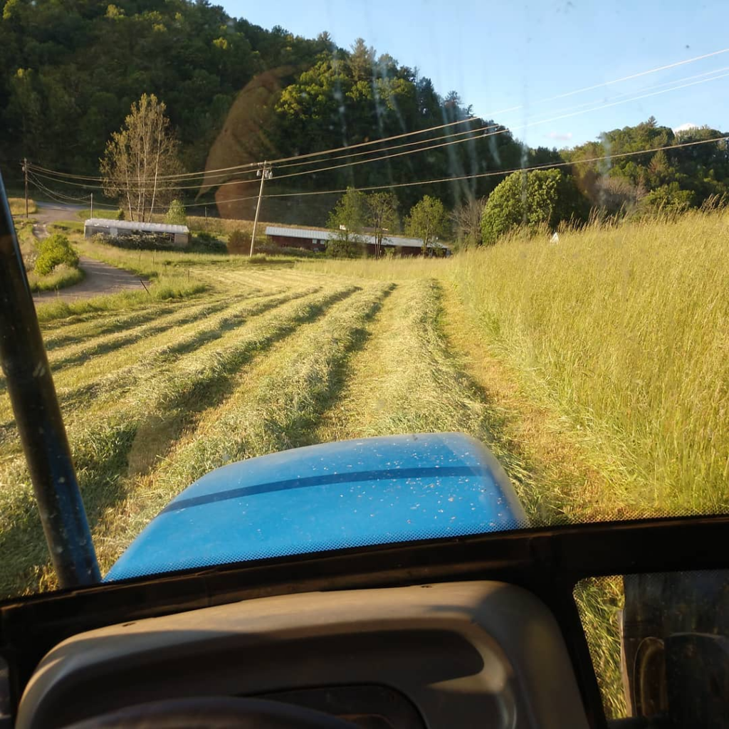 Mowing hay view from tractor seat