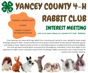 Cover photo for New 4-H Rabbit Club!