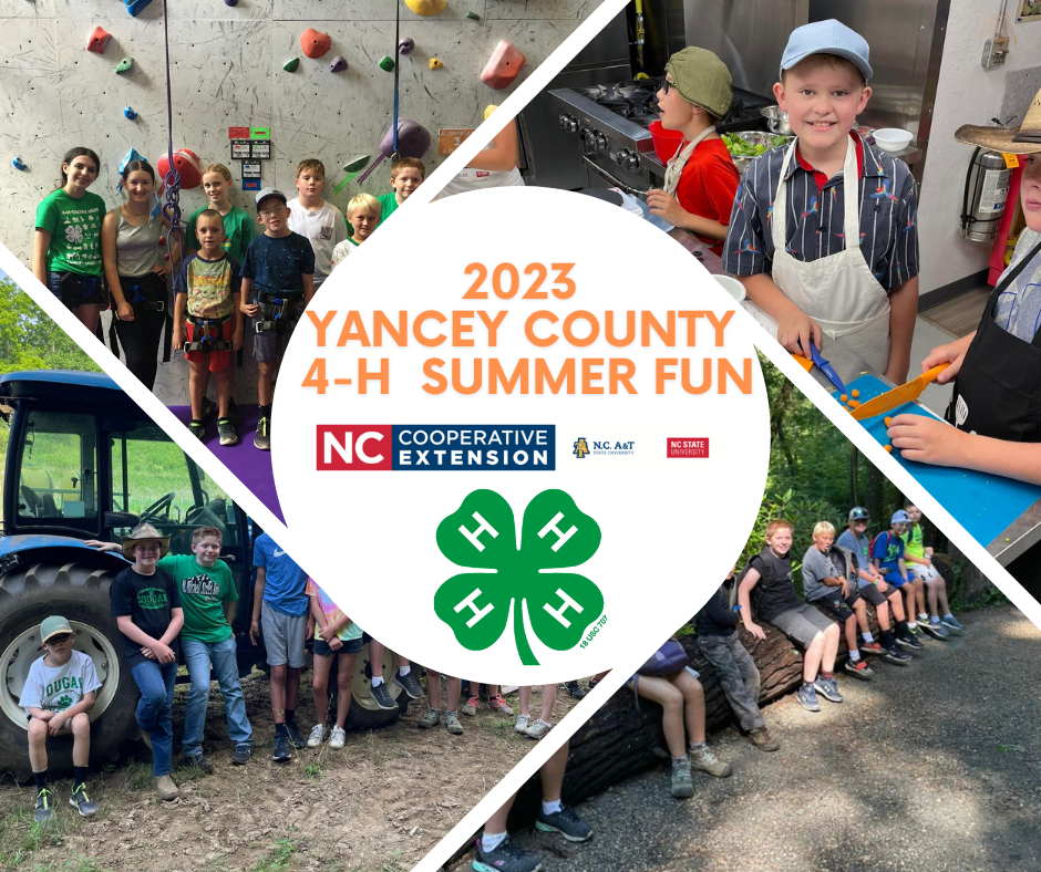 2023 Yancey County 4-H Summer Fun