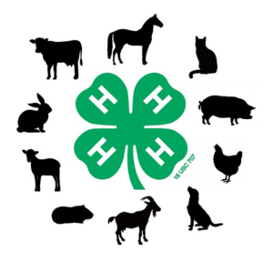 4-H Logo surrounded by animals
