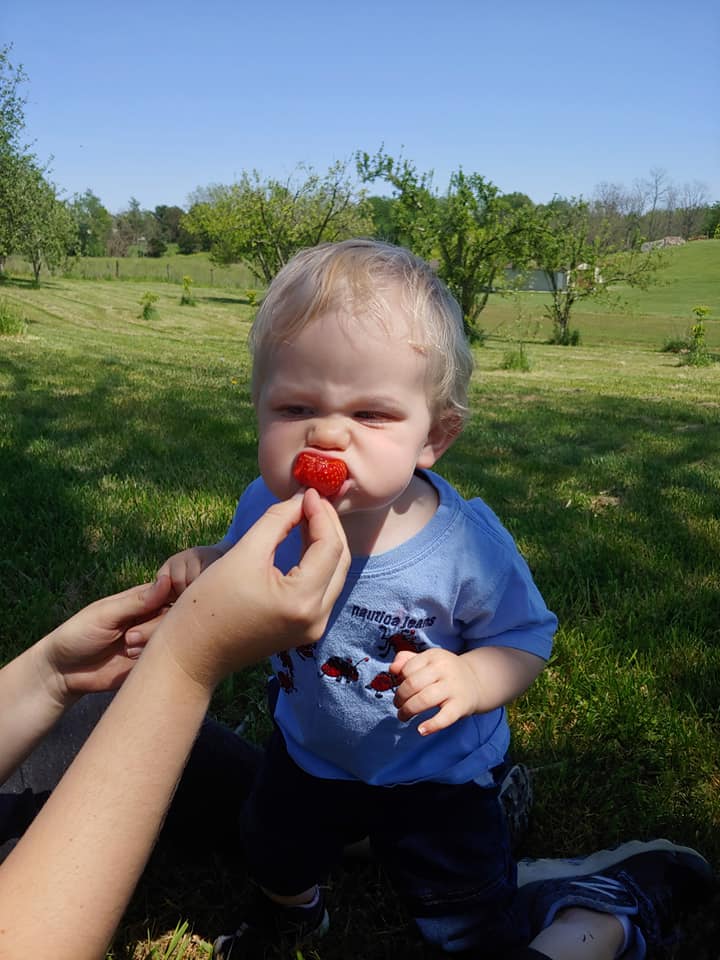 youth enjoying a strawberry