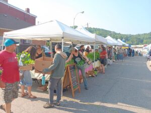 Cover photo for Have You Checked Out the Yancey County Farmers Market Recently?