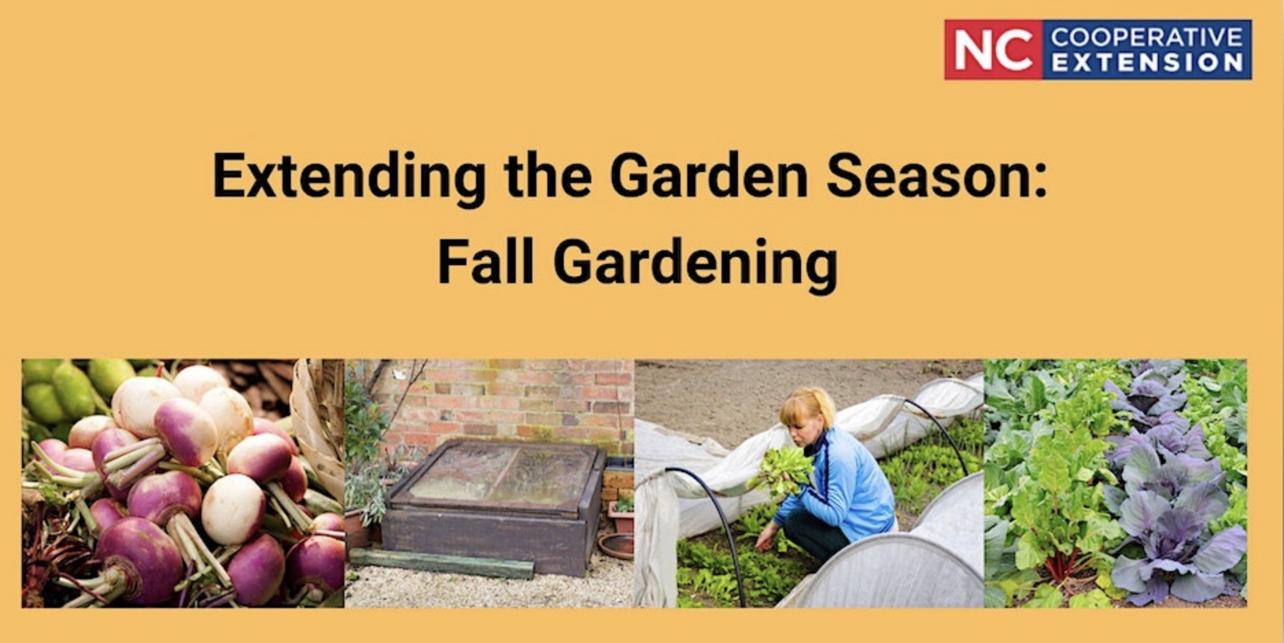 Extending the Season: Fall Gardening