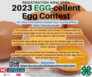 Cover photo for 2023 Egg-Cellent Egg Contest