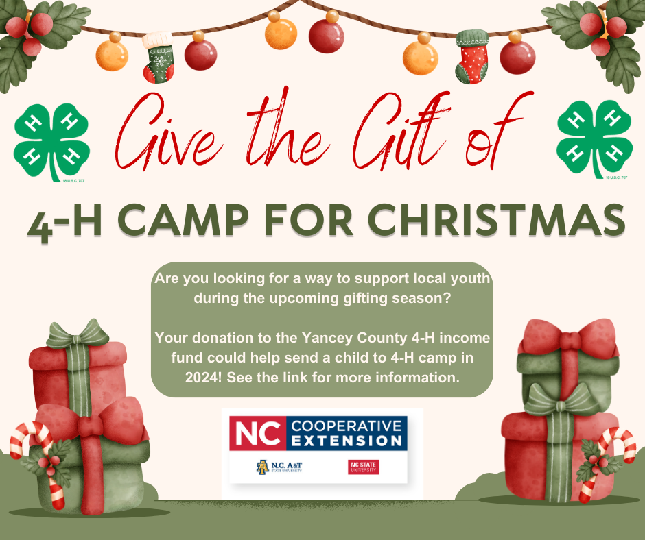 Give the Gift of 4-H Camp for Christmas
