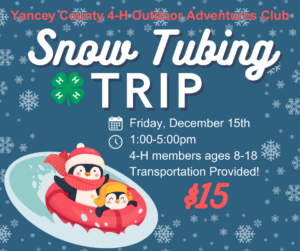 Cover photo for 4-H Snow Tubing Trip