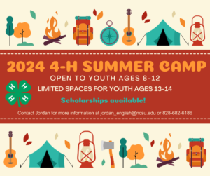 Cover photo for 2024 4-H Camp