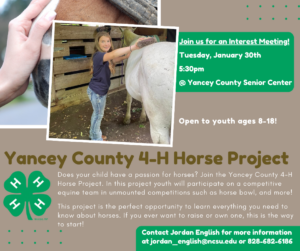 Cover photo for New Yancey County 4-H Horse Project!