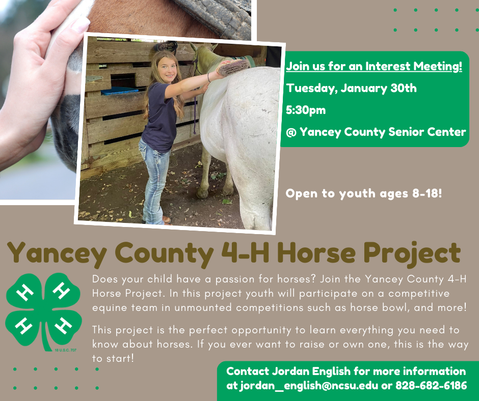 Yancey County 4-H Horse Project