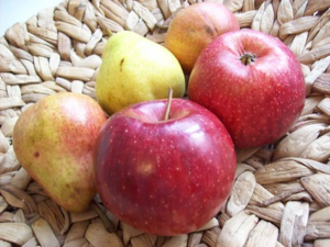 picture of apples