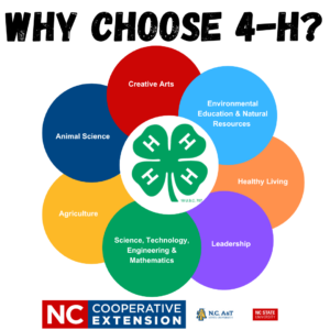 Cover photo for Why Choose 4-H?