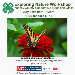 Cover photo for 4-H Exploring Nature Workshop
