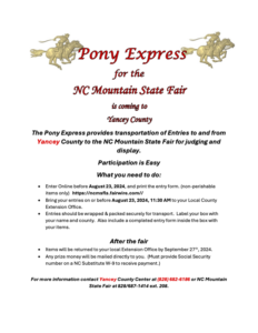 Cover photo for Pony Express