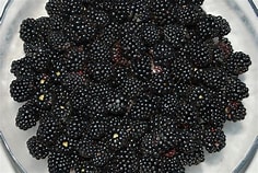 blackberries