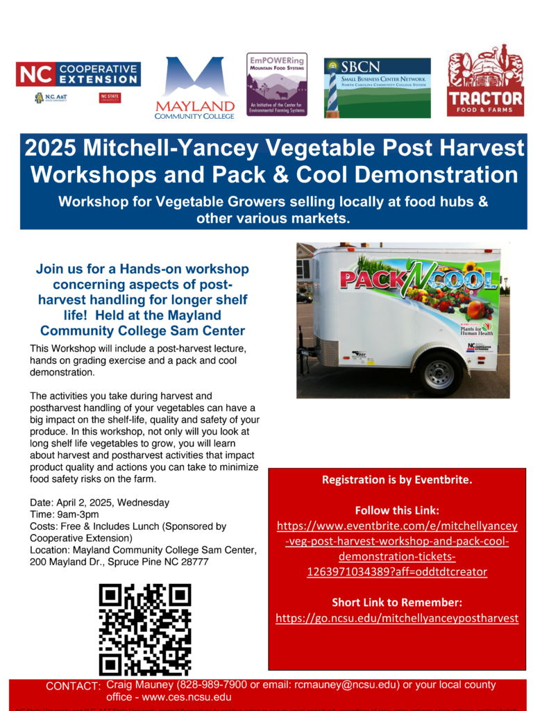 Mitchell-Yancey workshop flyer